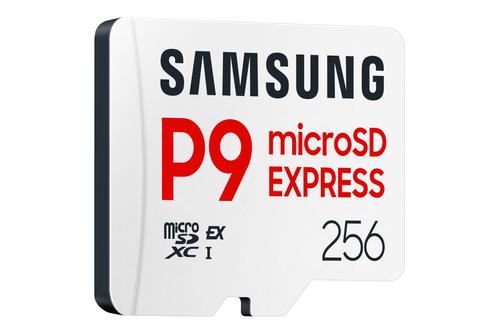 SAMSUNG MicroSD P9 Express 256GB (MB-MK256T/WW)