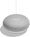 GOOGLE Home Mini