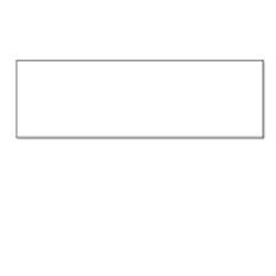 SEIKO ADDRESS LABEL 100 ROLLS - BULK CASE NS (SLP-1RL)