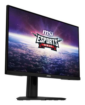 MSI G244F E2 Computer Monitor  (9S6-3BB4CH-035)