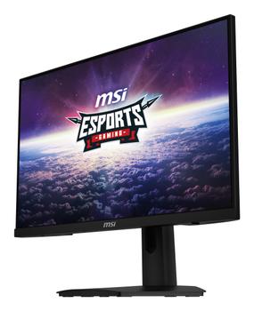 MSI G244F E2 Computer Monitor  (9S6-3BB4CH-035)