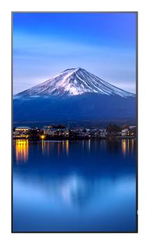 SHARP MultiSync P656 | PN-P656 | 65"" | 3840x2160 | 700Nits | 24/7 | Inbyggd hÃ¶gtalare | (60006061)