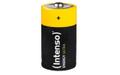 INTENSO Household Battery Single-Use 