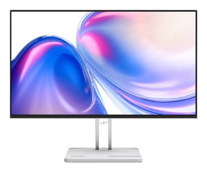 LENOVO L24-4C Computer Monitor 60.5  (67DDKAC6EU)
