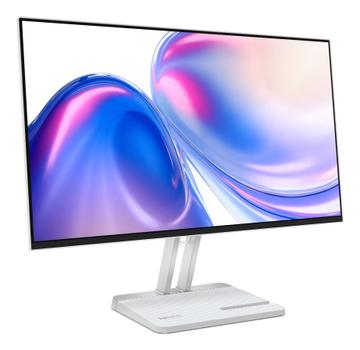 LENOVO L24-4C Computer Monitor 60.5  (67DDKAC6EU)