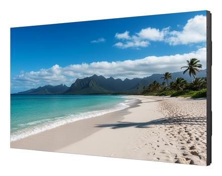 SHARP MultiSync UN553S 55" IPS 700cd/m² 1920 × 1080pixels (60006188)