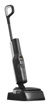 Roborock Morph F25 black (MORPH F25)