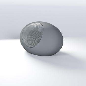 ECLER ZEN-15 (Grey) 5", 2-Way IP65  (CZEN15GR)