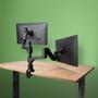 R-GO Tools R-GO Caparo D2 circular dual monitor arm desk mount, gas lif