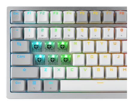 ASUS ROG AZOTH MOONLIGHT WHITE 75% Wireless DIY Custom RGB Gaming Keyboard, NX Red Switches, OLED Display, PBT (90MP031A-BKNA11)