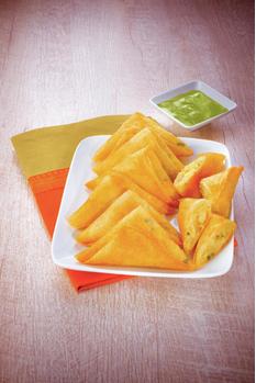 TEFAL FR 4800 (FR4800)