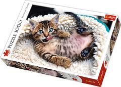 Trefl Puzzle - Cheerful kitten (1000 pieces) Floor