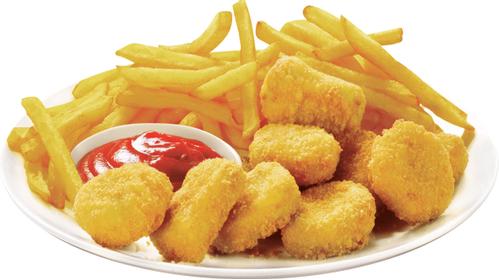 TEFAL FR 4800 (FR4800)