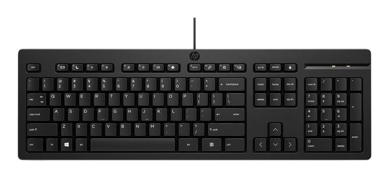 HP 125 USB Wired Keyboard Italy (266C9A6#ABZ)