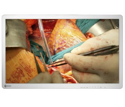 EIZO CURATOR 32IN 3840X2160 UHD 4K IP45 IP32 IPS LCD WITH LED BLU 1 LFD (EX3242)