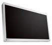 EIZO CURATOR 32IN 3840X2160 UHD 4K IP45 IP32 IPS LCD WITH LED BLU 1 LFD (EX3242)