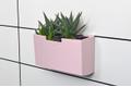 LEGAMASTER whiteboard accessory holder Soft Pink (7-122638)