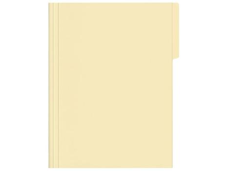 ESSELTE Vertikalmappe ESSELTE A4 fane vens 210g (44104*100)