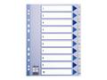 ESSELTE Indices PP A4 1-10 white (100135*10)