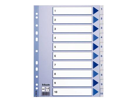 ESSELTE Indices PP A4 1-10 white (100135*10)