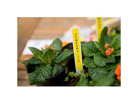 P-TOUCH Tape BROTHER TZe-631 12mmx8m sort/gul (777751)