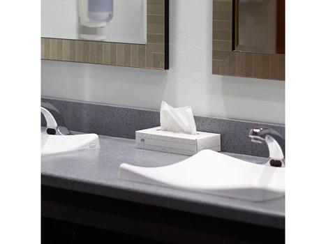 TORK Ansigtsserviet Tork 2-lags 21, 5x20, 5cm Hvid Pk/100 (140280)