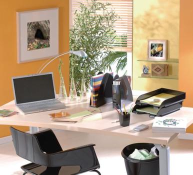 CEP Papirkurv CEP PRO 14L sort (2108116*12)