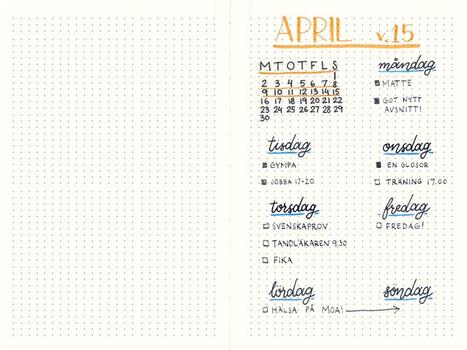 BURDE Notatbok BURDE DotNotes A5 udatert sort (92732800)