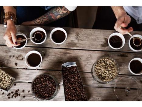 ZOEGAS Kaffe Zoégas Mollbergs h. bønner 750g (12131280*8)