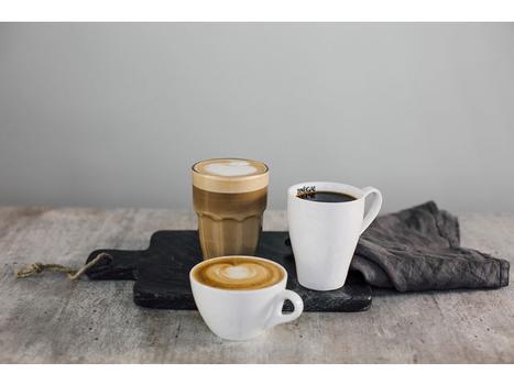 ZOEGAS Kaffe Zoégas Mollbergs h. bønner 750g (12131280*8)