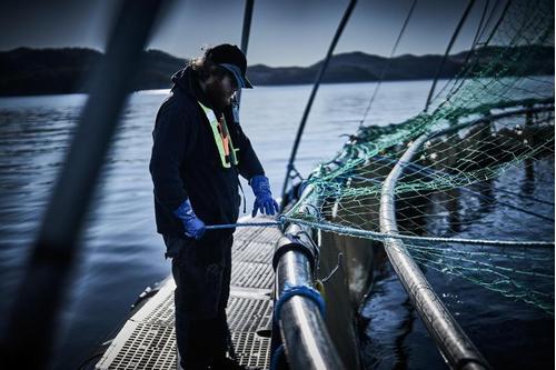 Chemstar Hanske CHEMSTAR 0630 kjem. nitril 11 (114.0630-11*10)