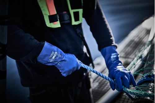 Chemstar Hanske CHEMSTAR 0630 kjem. nitril 11 (114.0630-11*10)