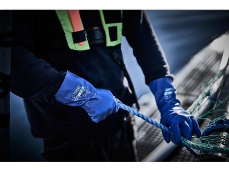 Chemstar Hanske CHEMSTAR 0630 kjem. nitril 10 (114.0630-10*10)