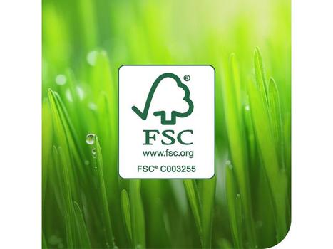 TORK 190494 Sensitiv W1/W2/W3 aftørringsklud turkis (190494)