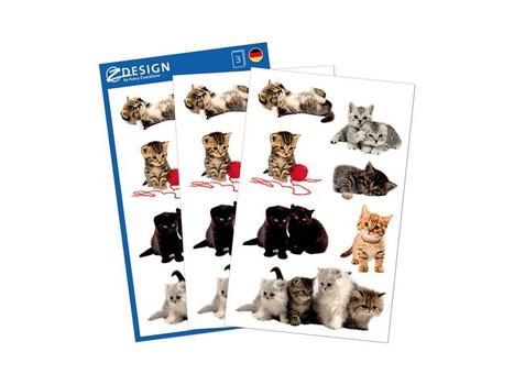 Z-Design Etikett AVERY dekor søte kattunger (3) (55971*10)