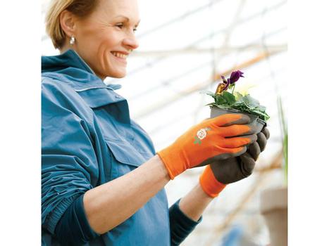 GRANBERG Hanske GRANBERG 0560 hagearbeid latex 8 (108.0560-8*12)