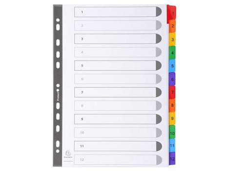 EXACOMPTA Register EXACOMPTA A4 1-12 mylar hvi/frg (1112E)