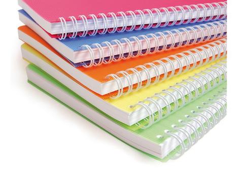 CLAIREFONTAINE Notatbok CLAIREFONTAINE Linicolor A4 rut (328126C*5)