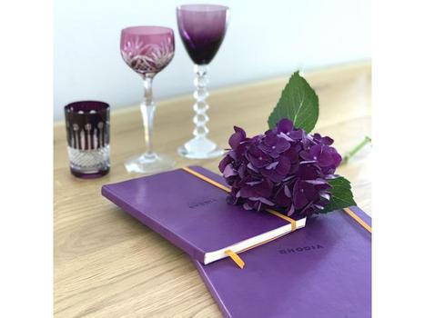 RHODIA Notatbok RHODIA Rhodiarama A5 lilla (117410C)
