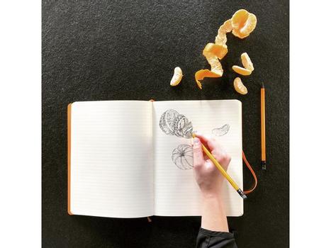 RHODIA Notitieboek A5 Gelinieerd Blauw Niet geperforeerd 160 Pagina's 80 Vellen (117408C)