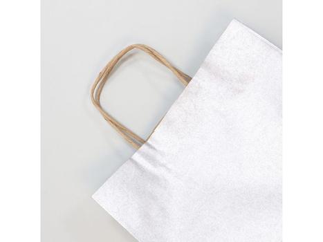 CLAIREFONTAINE Gavepose CF kraft 22x10x27 cm sølv (25) (395711C)