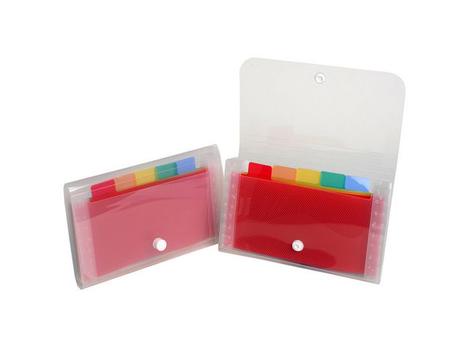 EXACOMPTA Hjemmearkiv 6 lommer mini 14x26 cm (55498E)