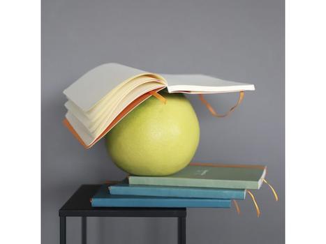 RHODIA Notatbok RHODIA Rhodiarama A5 grønn (117374C)