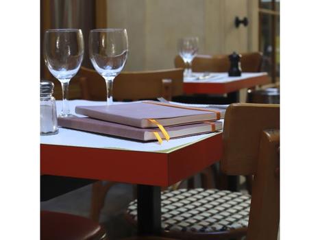 RHODIA Notatbok RHODIA Rhodiarama A5 rose (117373C)