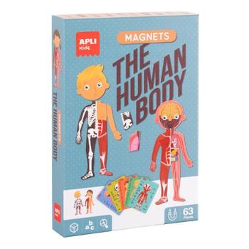 APLI Spill APLI Menneskekroppen magnet (18531)
