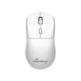 MediaRange Mouse Home Ambidextrous 