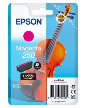 EPSON Singlepack Magenta 250 ink (C13T16N34010)