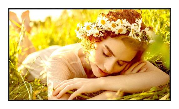 LG 65"" 65UL5Q-E 500nits 24/7 (65UL5Q-E)