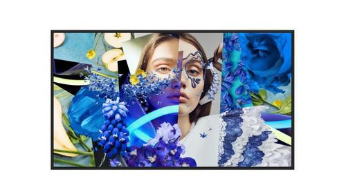 HIK VISION DS-D6043UH-DP,  43-inch UHD (DS-D6043UH-DP)