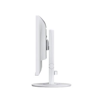 EIZO 2400R-Wt Computer Monitor  (EV2400R-WT)